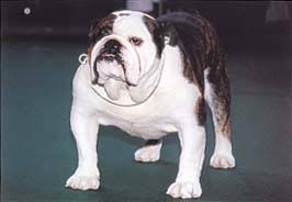 �����Ƒ��Ɍ}����O��